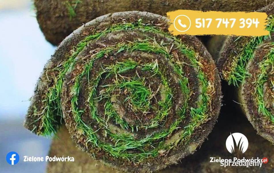 Trawa w rolce Dostawa Chłodzona próżniowo śląskie Myszków