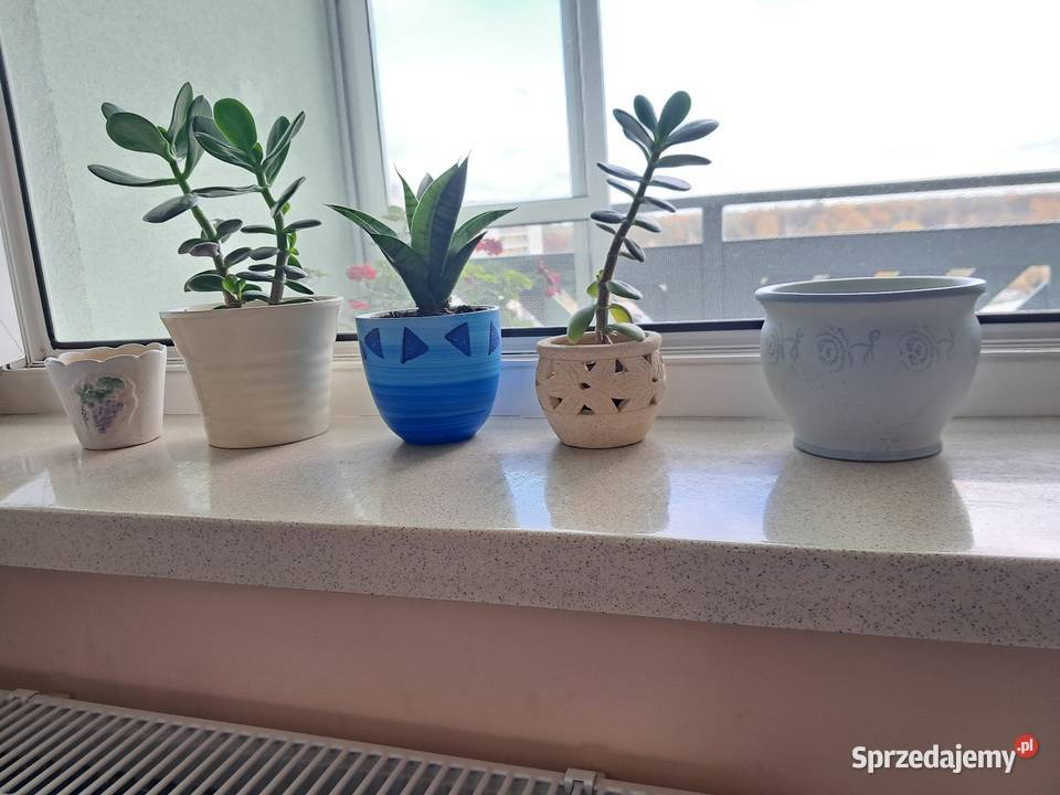 Nietuzinkowa osłonka na kwiatek ceramiczna Warszawa