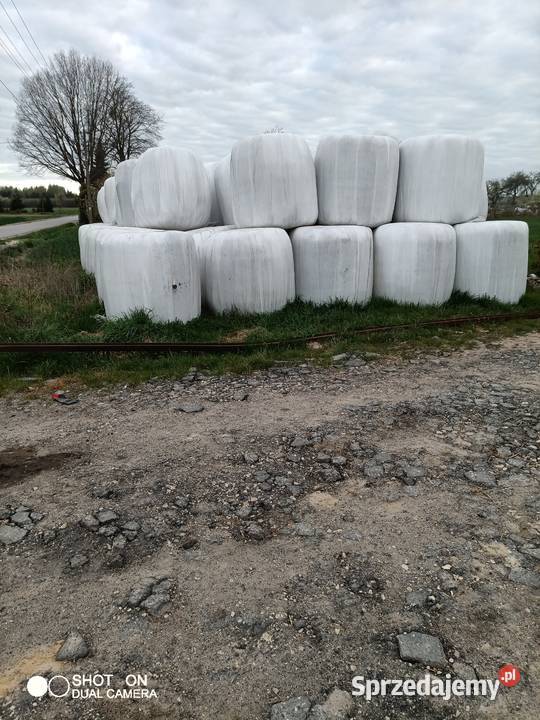 Sianokiszonka Wilkucice Duże