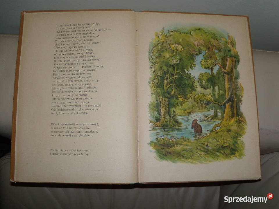 bóbr ukradkiem wędrował z niedźwiadkiem Warszawa