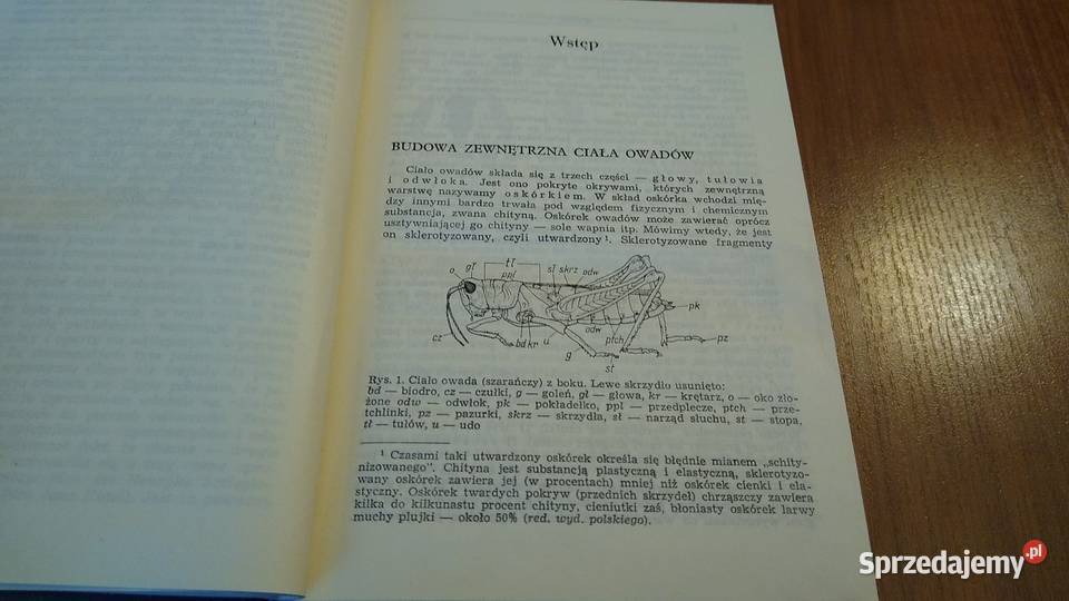 Klucz do oznaczania owadów N Pławilszczikow wyd