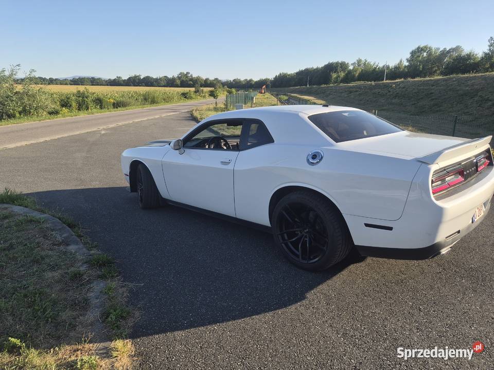 Dodge Challenger 36 Nysa