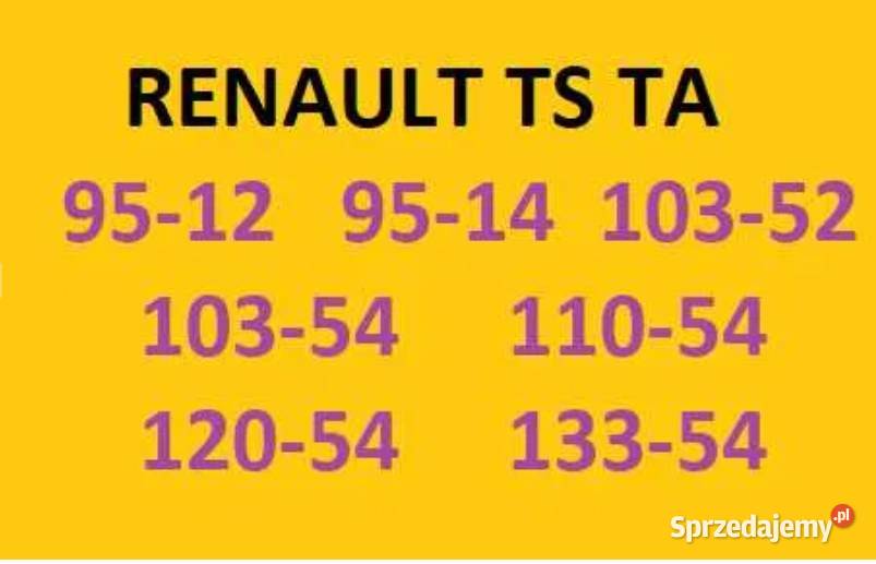 Instrukcja napraw Renault 95129514