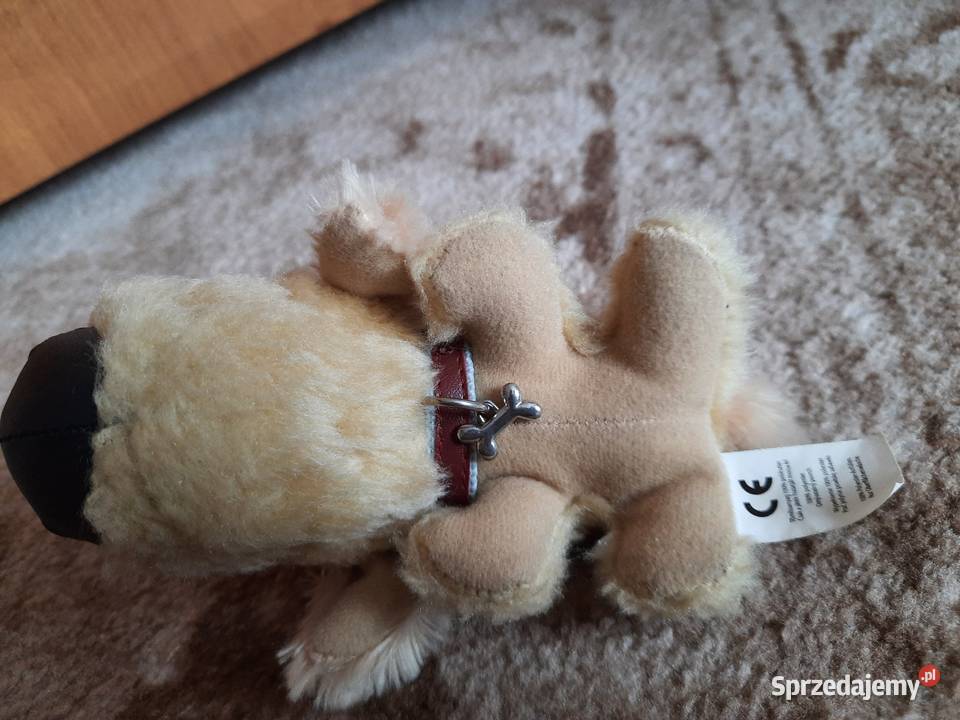 maskotka The Dog kujawsko-pomorskie Toruń