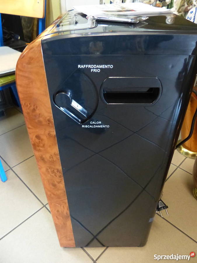 Klimatyzator biokominek jonizator Welmax Gniezno