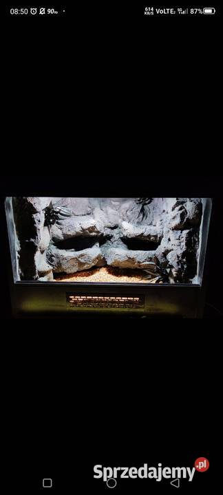 Okazja terrarium agamy gekona żółwia węża Częstochowa