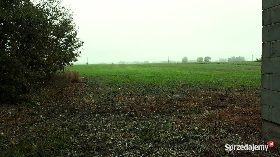 Budynek z możliwością przebudowy na dom Płońsk