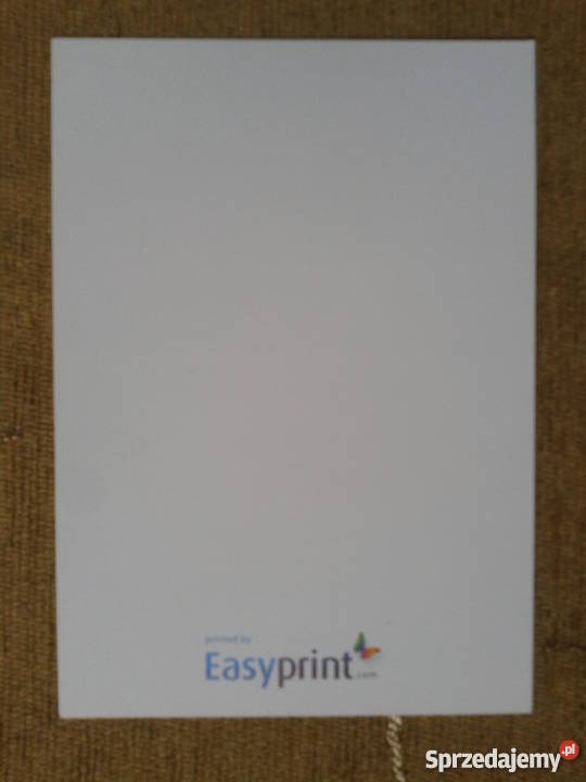 SOWA PTAK DRAPIEŻNY Piszczac