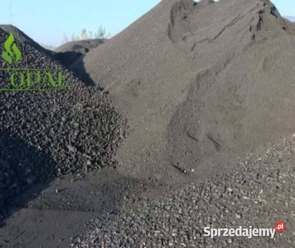 Węgiel groszek Opał Jaworzno