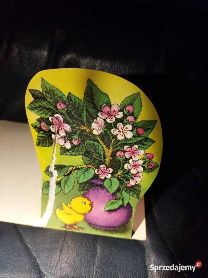 Stara kartka pocztowa Pozostałe dolnośląskie Wrocław