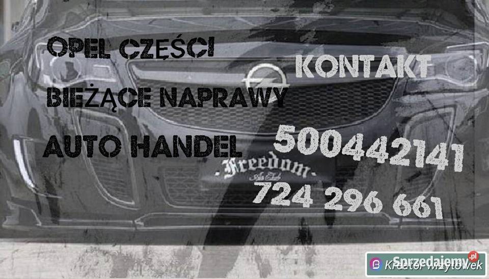 Mechanik aut osobowychMozliwe naprawy mobilne Naprawa i warsztat kujawsko-pomorskie Lipno