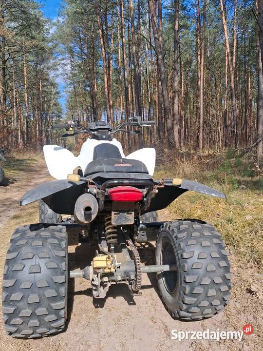 Dinli 360 Kalisz Pomorski