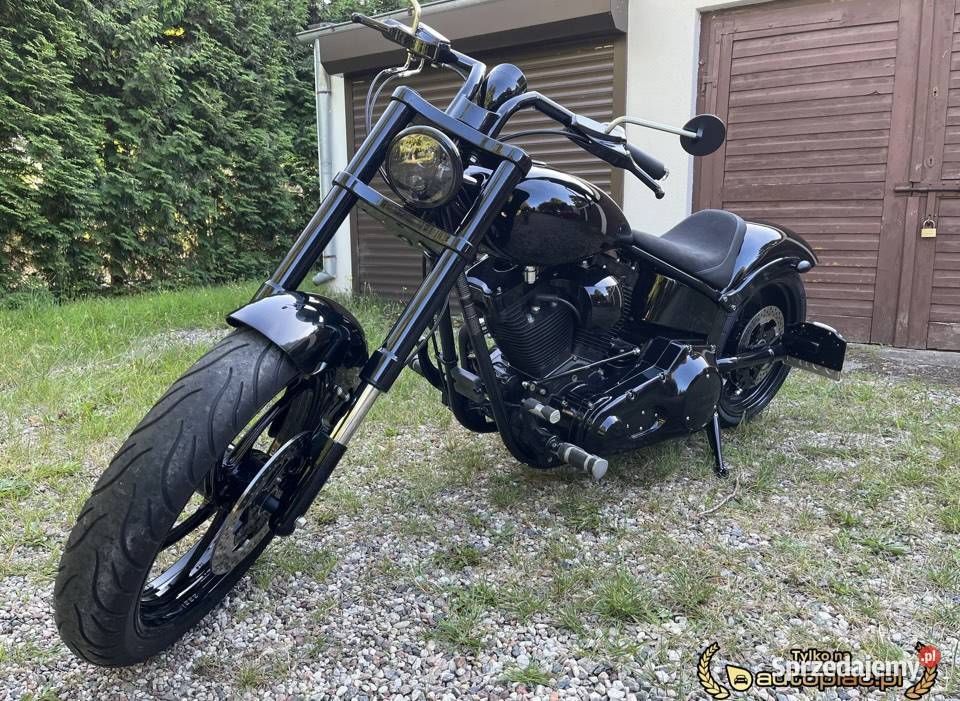 Big Dog Harley Davidson