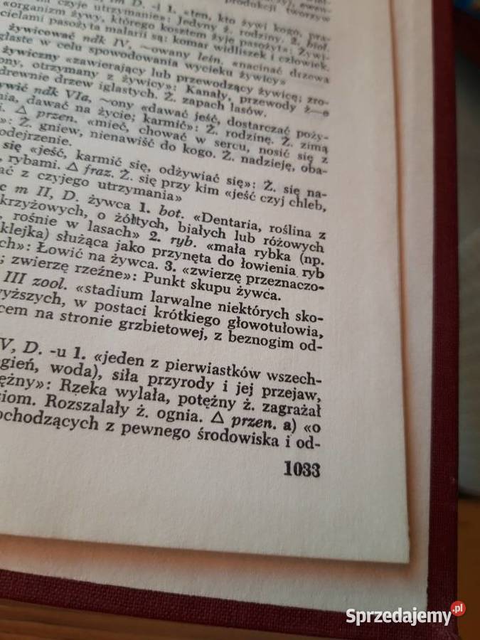 Mały Słownik Języka Polskiego Państwowe Antykwariat Antyki, Sztuka, Kolekcje Bielsko-Biała