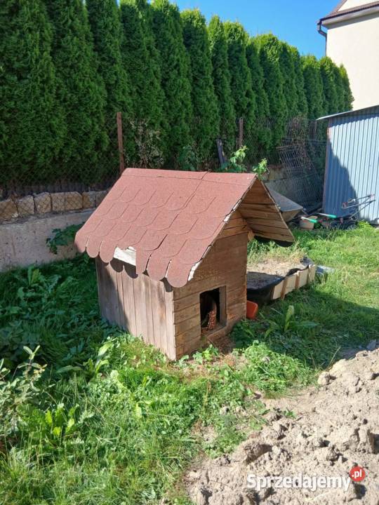 TANIA buda psa ocieplona styropianem Bochnia sprzedam