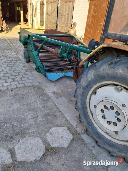 Kopaczka do ziemniaków elewatorowe 2 rzędów Lubartów