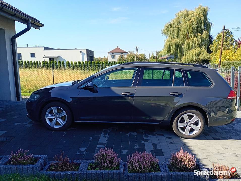 Volkswagen Golf 4motion kombi 16 TDI Rok produkcji 2013 śląskie