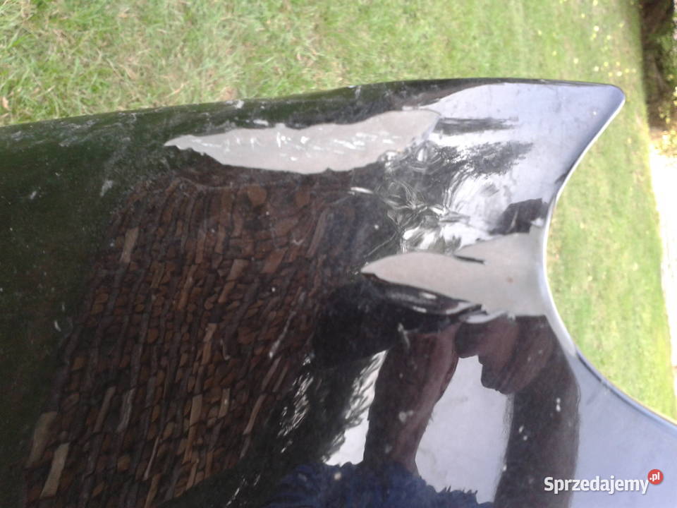 DACIA DUSTER BŁOTNIK PRZÓD PRZEDNI PRAWY 1017R Błotniki Chełm