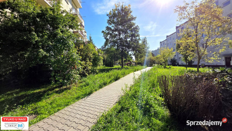 sprzedaży mieszkania Kielce 594m2 3 pok Sprzedaż