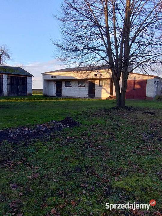 Sprzedam Działkę Rolną z Budynkami 19500m2 Poturzyn sprzedam