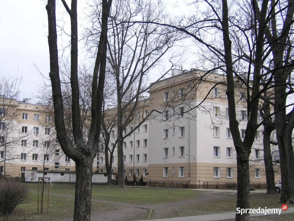 Przestronna kawalerka z piwnicą mazowieckie Warszawa