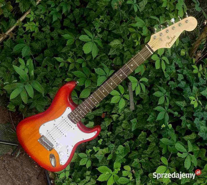 Gitara elektryczna Stratocaster elektryczna Instrumenty Tuszyn