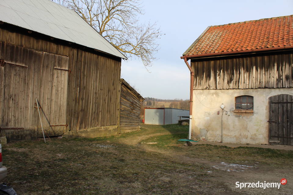 Siedlisko w Silcu dom jednorodzinny na sprzedaż ogródek warmińsko-mazurskie Silec