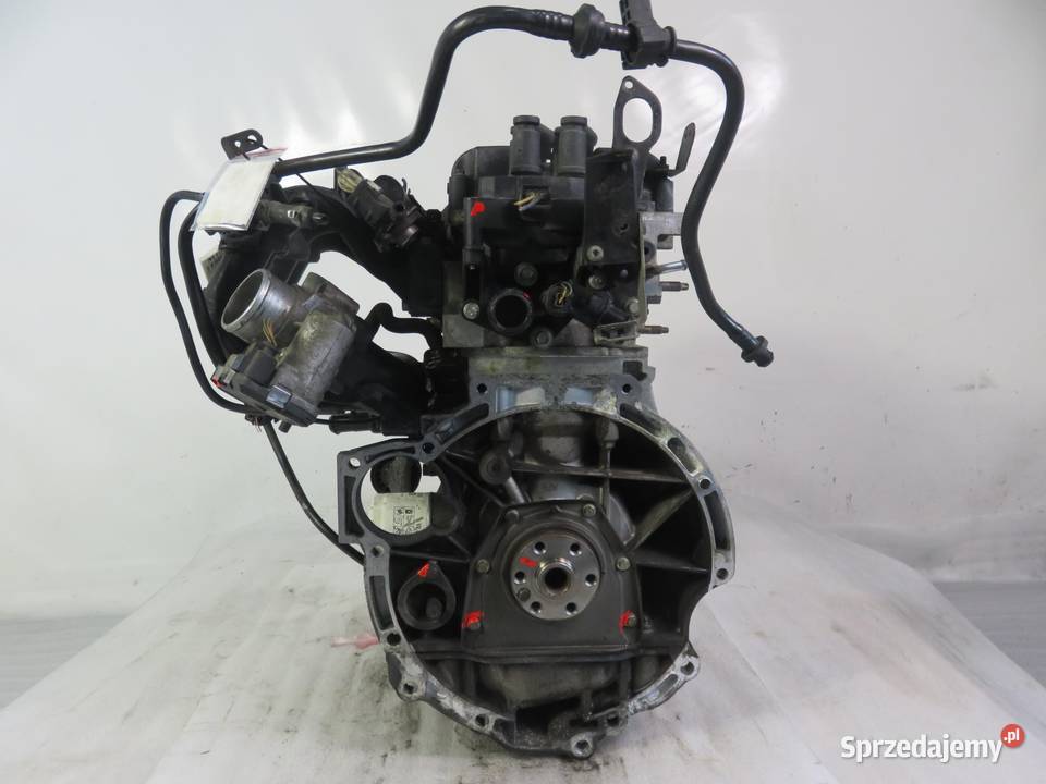 SILNIK FORD FIESTA MK6 VI 125 60 STJA małopolskie