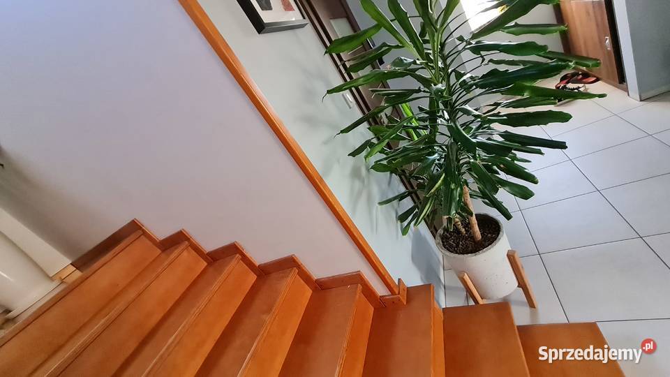 schody z demontażu Schody wewnętrzne Kartuzy