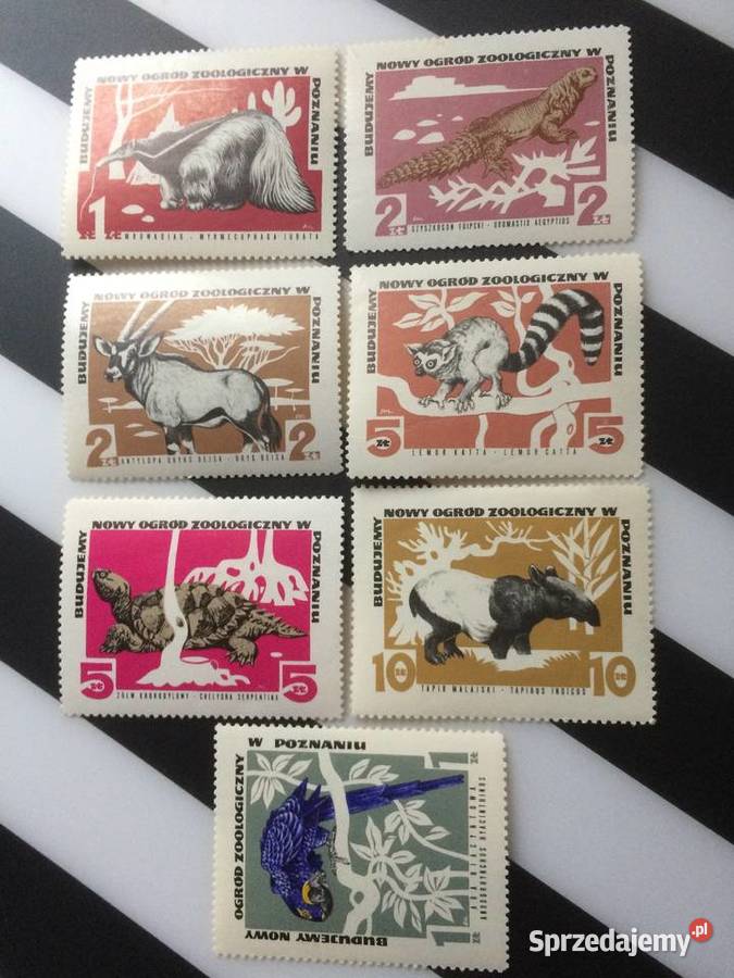 1007 Cegiełki Budujemy Nowy Ogród Zoologiczny Szczecin