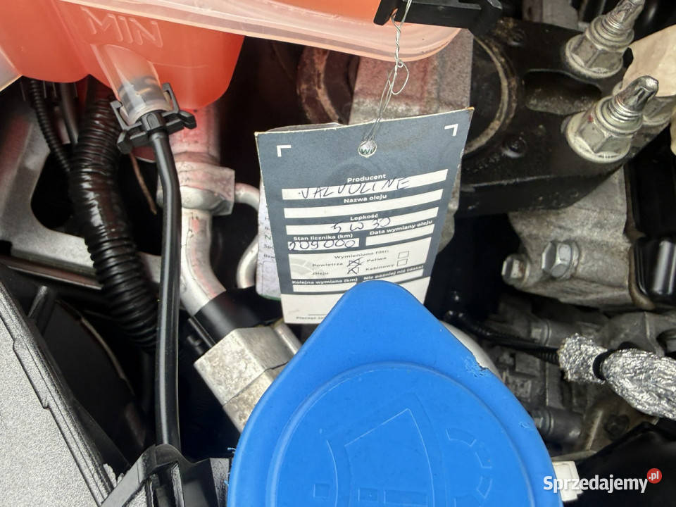 Ford Focus serwisieklimatronikbixenonsuper stanz system Start-Stop Focus Dąbrowa sprzedam