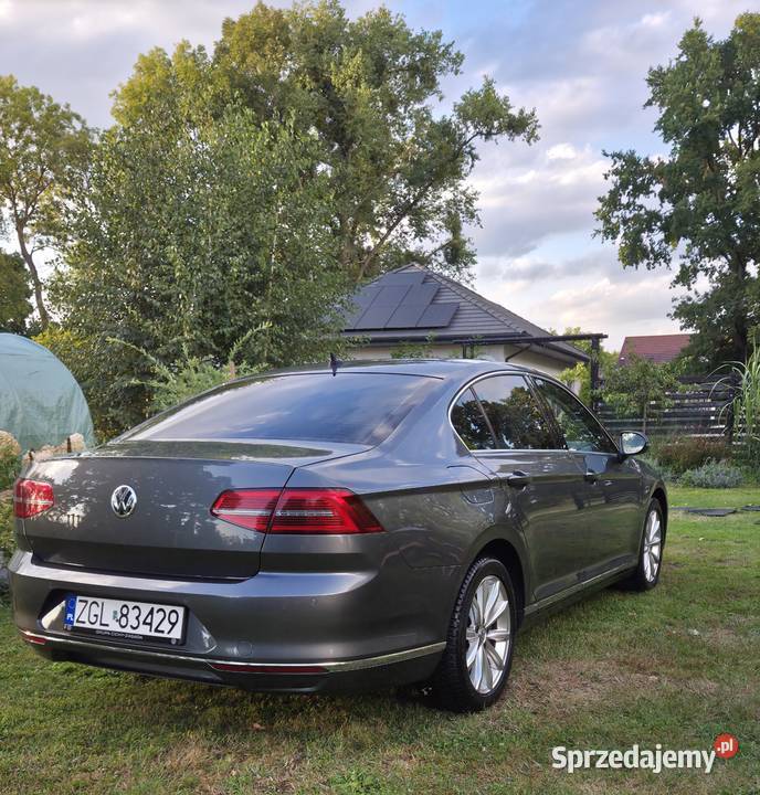 Volkswagen Passat 20 TDI Highline B8 Rurzyca