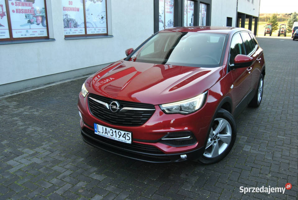 Opel Grandland X Rejestracja ASO Android Auto garażowany Grandland X Modliborzyce