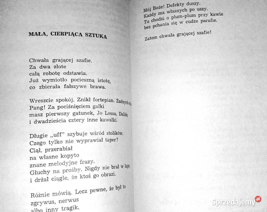 Oda do głupoty Aleksander Ziemny sprzedam