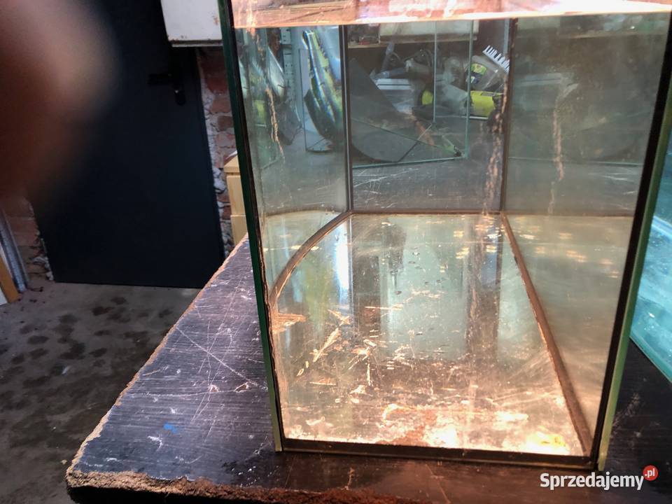 Akwarium panoramiczne 80 pokrywa oświetlenie Justynów