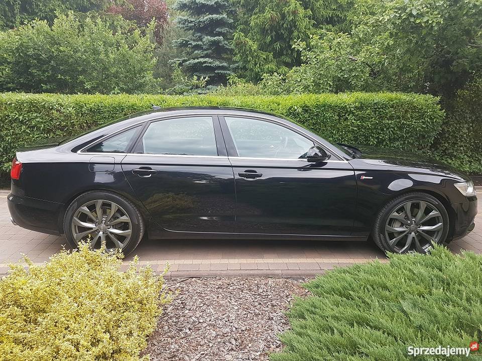 Transport Business Class Audi A6 444