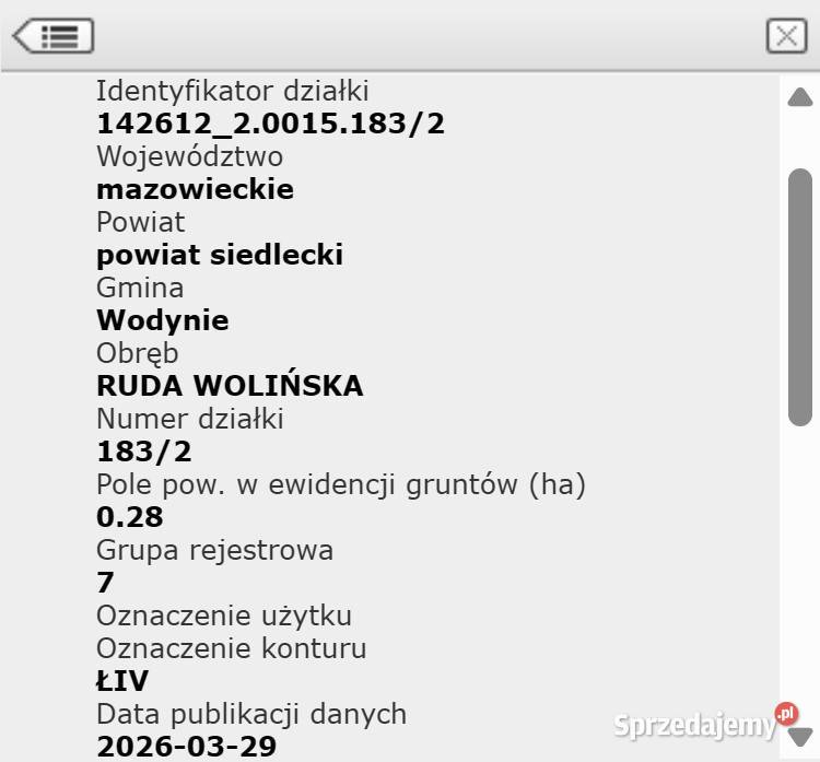 Grunty rolne Ł4 216ha Ruda Wolińska 08117 23 Sprzedaż