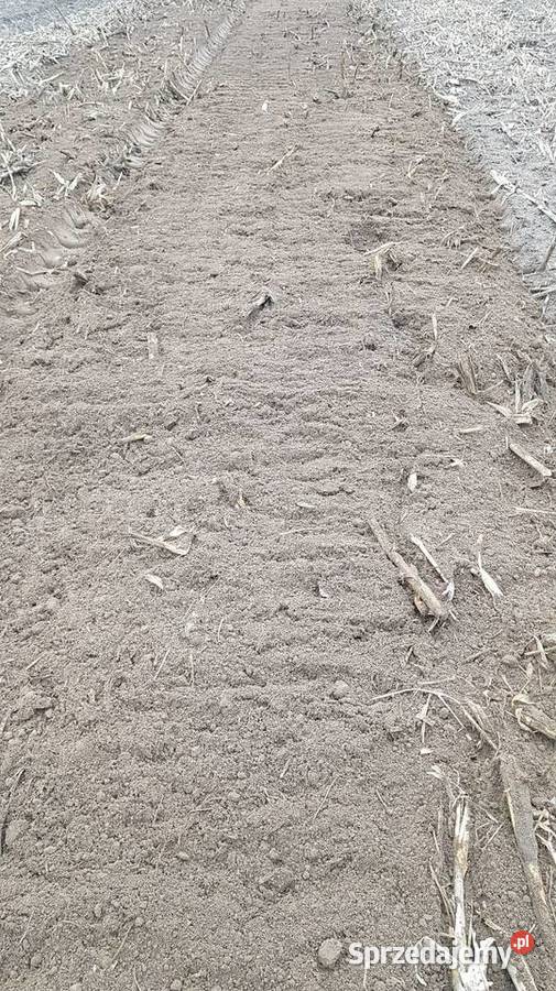 Glebogryzarka Japońska ISEKI 160 lubelskie Brzeźnica Leśna