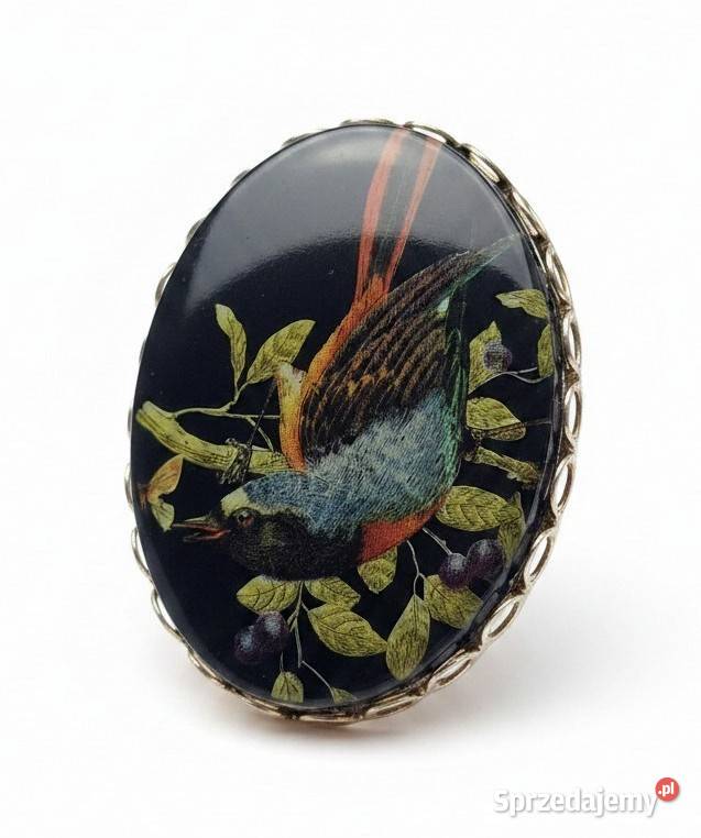 VINTAGE BROSZKA ZIMORODEK KINGFISHER CELULOID śląskie Częstochowa