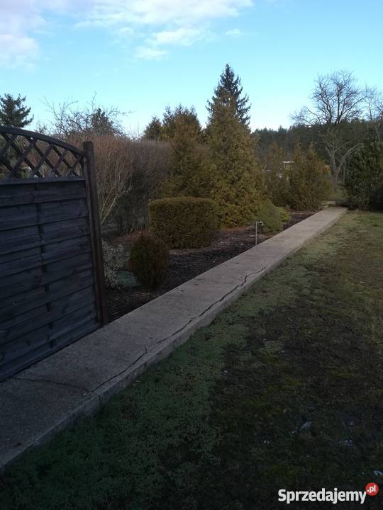 Murowany domek na działce ROD na Darzynce rekreacyjna Poznań
