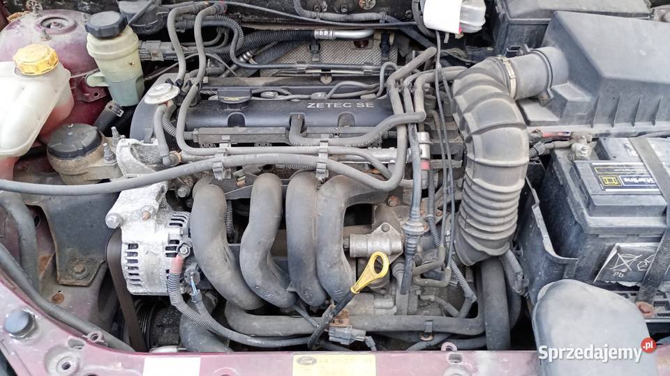 Focus 16 benzyna 2001 Wsola sprzedam