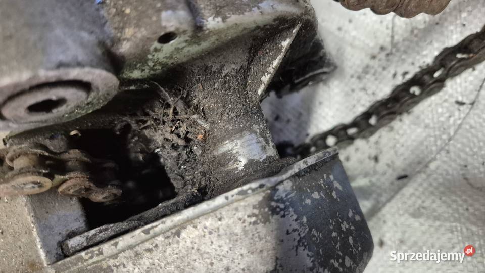 Motorynka silnik Hryniewicze