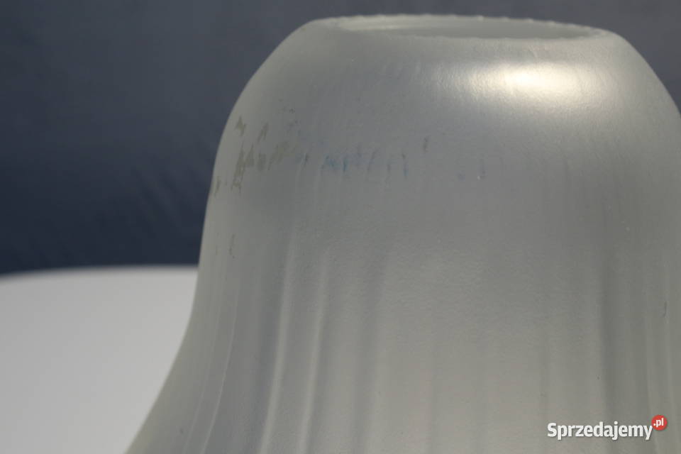 Stary klosz kwiat Wrocław