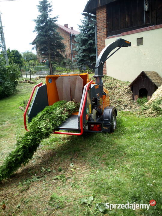 Usuwanie starych niebezpiecznych drzew skracanie Skawina