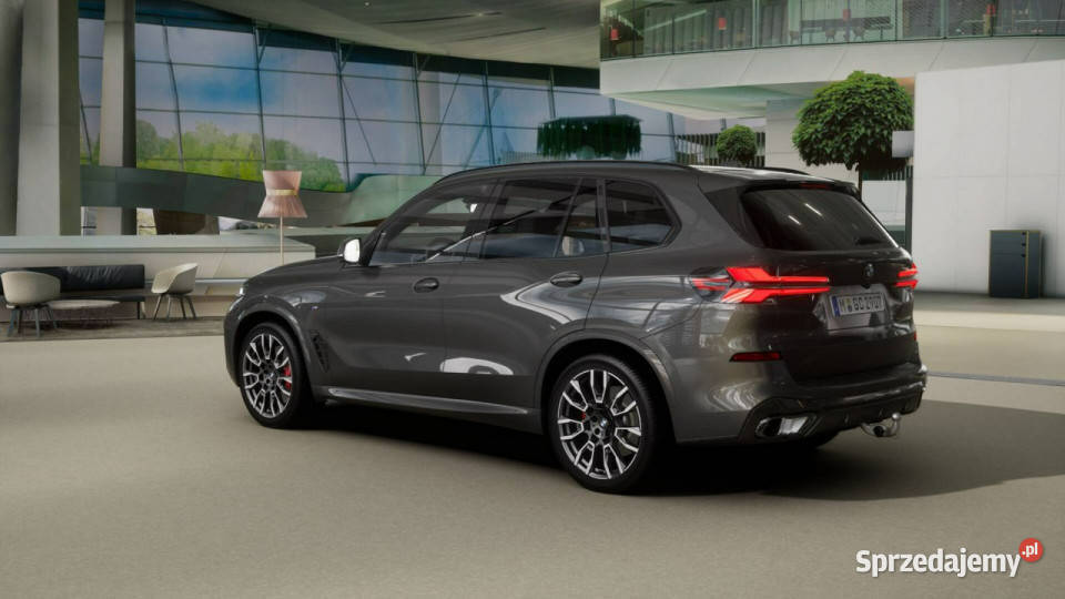 BMW X5 X5 xDrive30d Dostępny ręki G05 2018 przyciemniane szyby Łódź