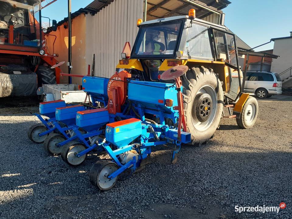 Usługi siewu kukurydzy Jastrzębie-Zdrój