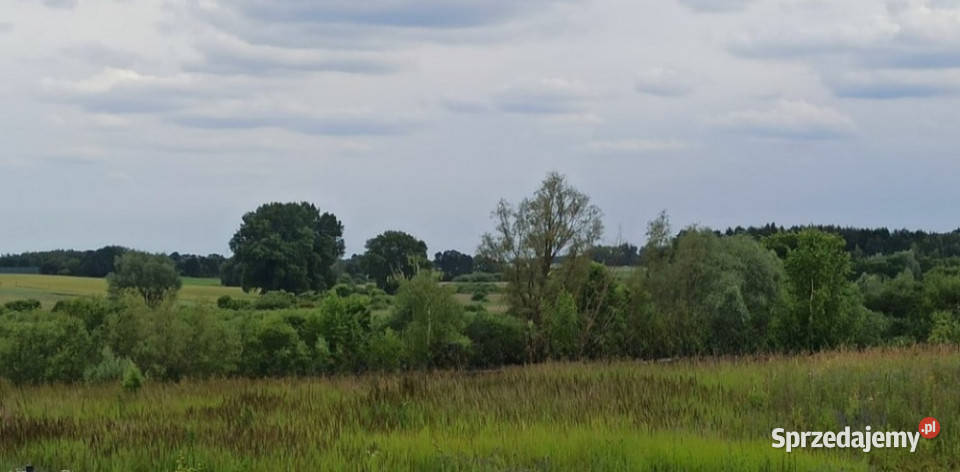 ŚWIETNA S5 W DOBRCZU Dobrcz