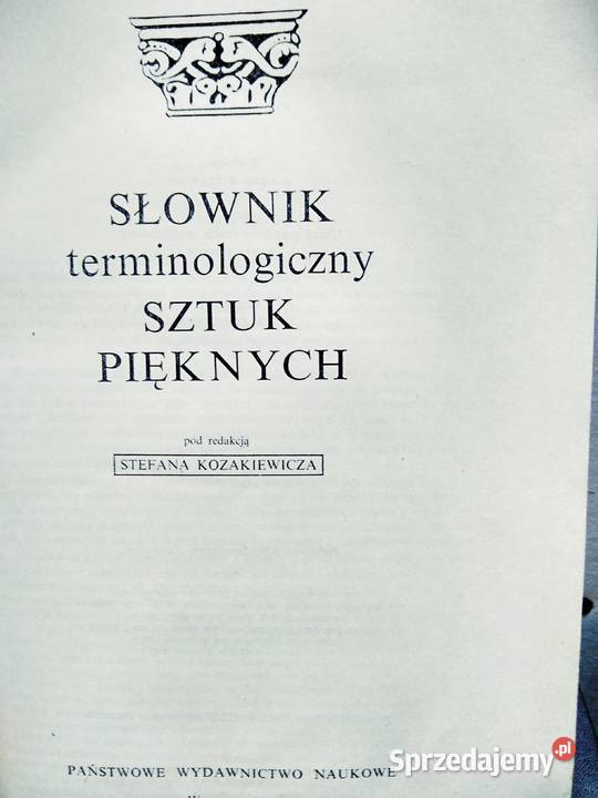 Słownik terminologiczny sztuk pięknych unikaty Warszawa