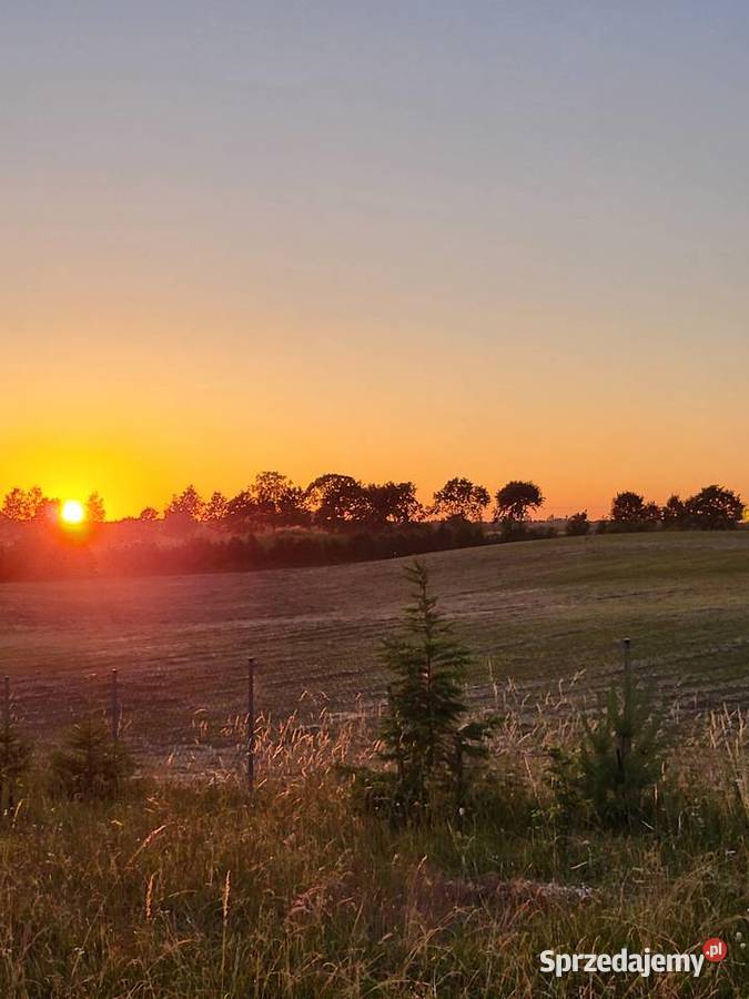 Działka z charakterem domek z duszą na Mazurach 1404m2 Elganowo