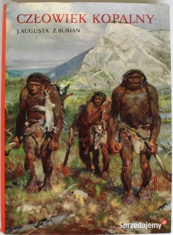 CZŁOWIEK KOPALNY BURIAN Z AUGUSTA J historia, archeologia Rzeszów sprzedam